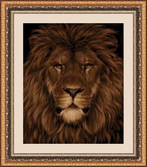 NOVEDADES 34327 1 NOVEDADES 34327